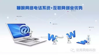 国内网络电话与国外对比分析