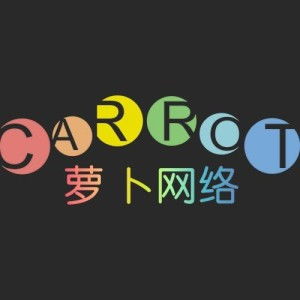 福建萝卜网络科技 深耕计算机技术开发，驱动数字创新未来