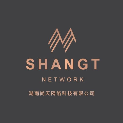湖南尚天网络科技 创新驱动，赋能数字未来