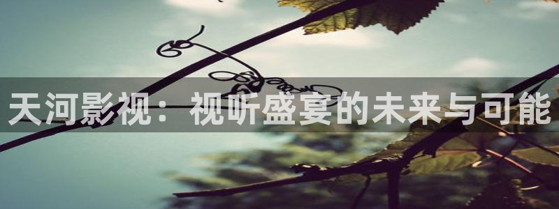 红叶影视app官方下载