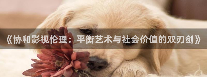 红叶影院下载