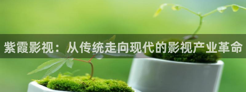 红叶电影