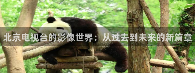六安红叶影城今日影讯
