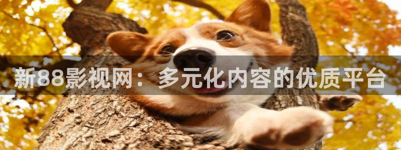 六安红叶影城电影