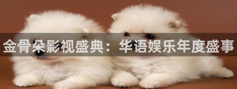 红叶影院下载