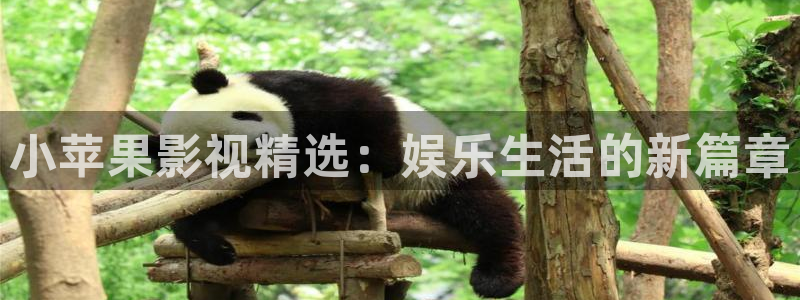六安红叶国际影城