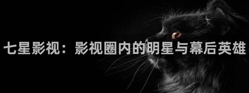 红叶电影今日影讯